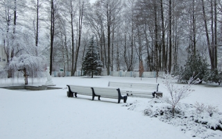 Lumine õueaed_Snowy courtyard